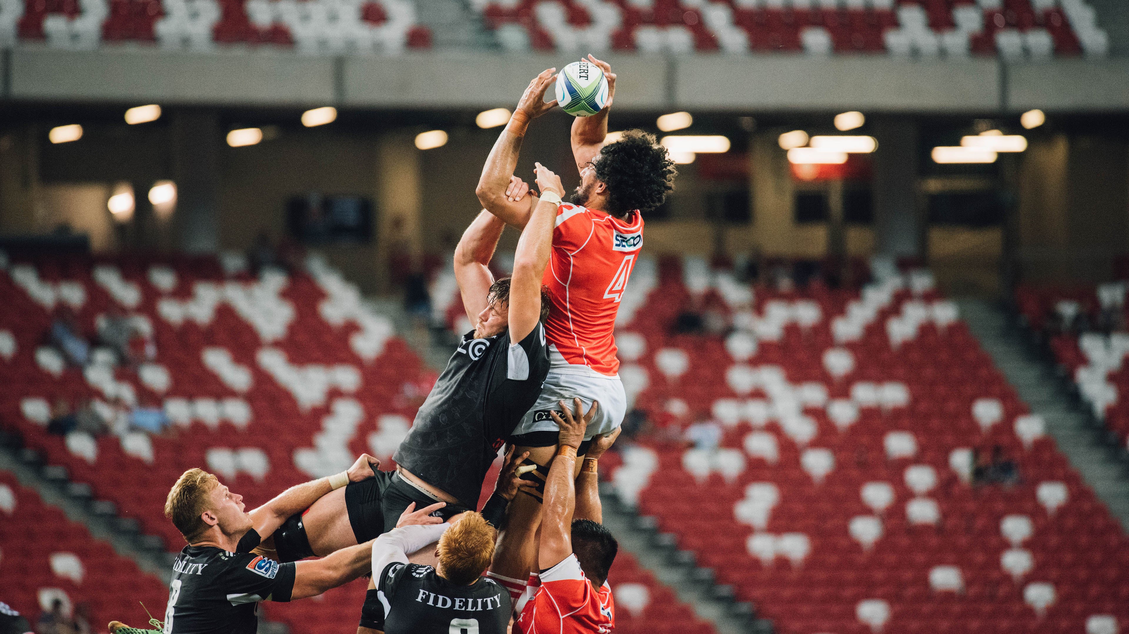 AC米兰队-北京鸭引入外援锋线提升终结能力，北京鸭与其他鸭子的区别